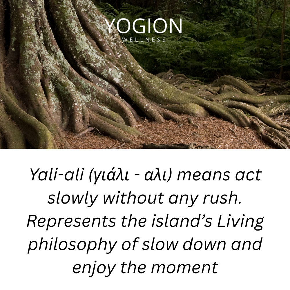 A split graphic with a forest photo at the top showing large tree roots and the Yogion Wellness logo, and a white lower section with text explaining that Yali-ali means to act slowly without rushing and to enjoy the moment.