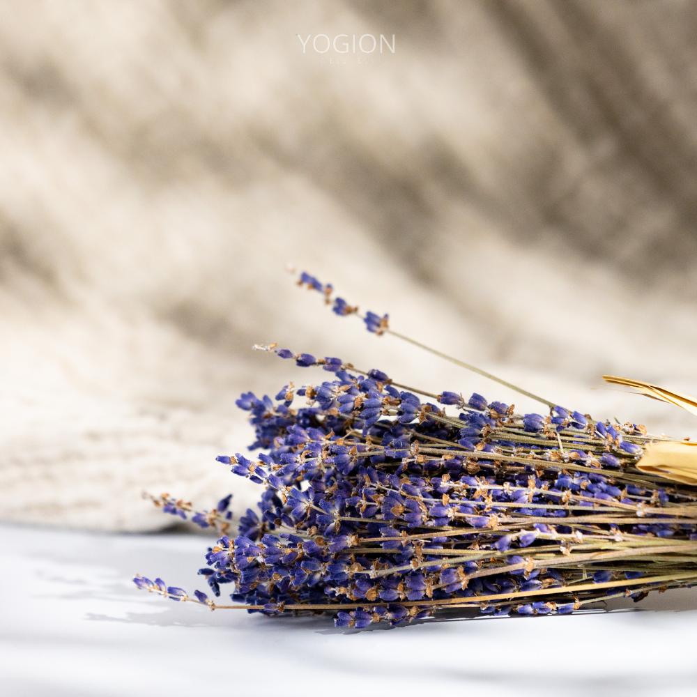 Bouquet of dried lavender on a neutral background with 'YOGION' branding.