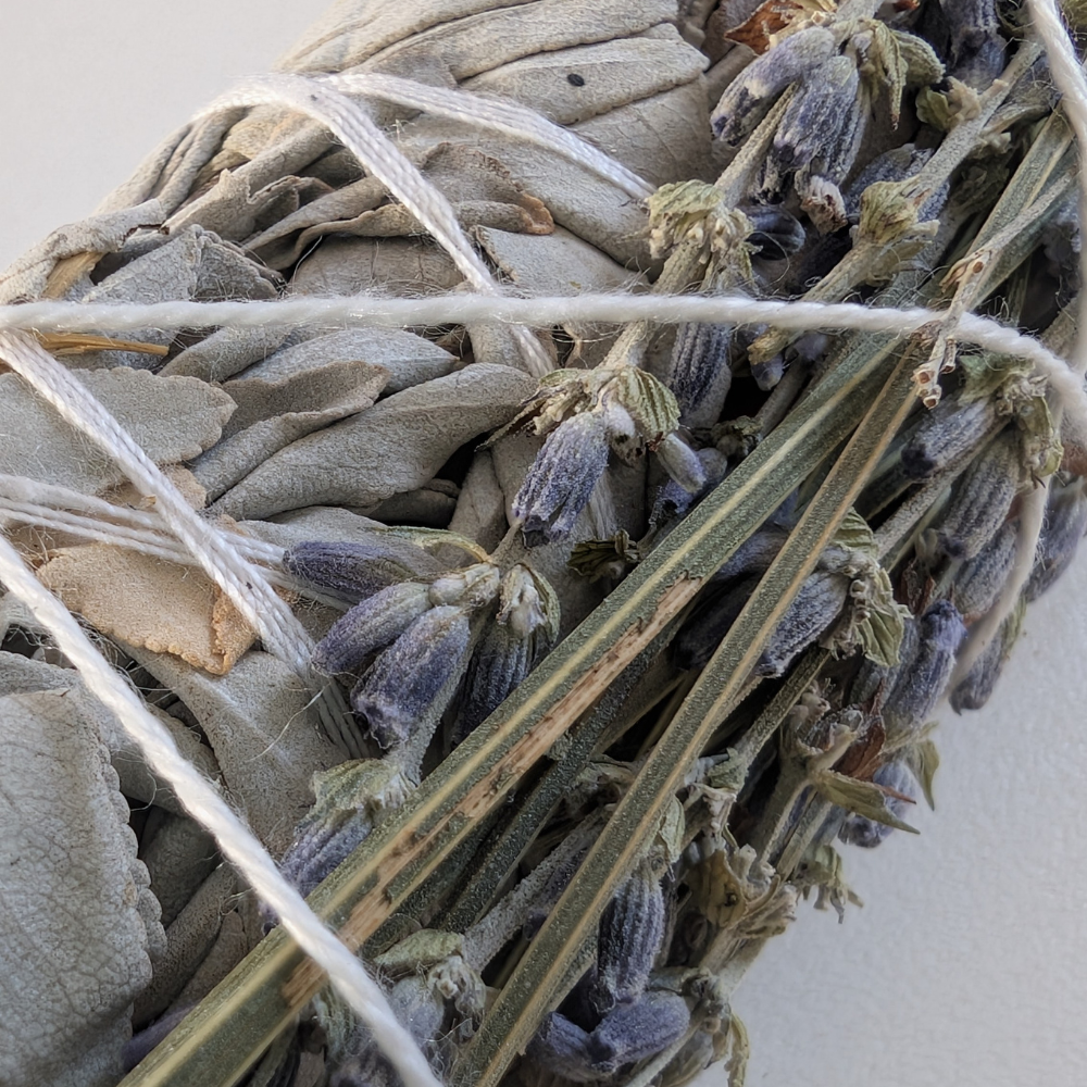 detail of Hand-tied white sage and lavender smudge stick in cyprus